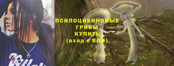 СК Надым
