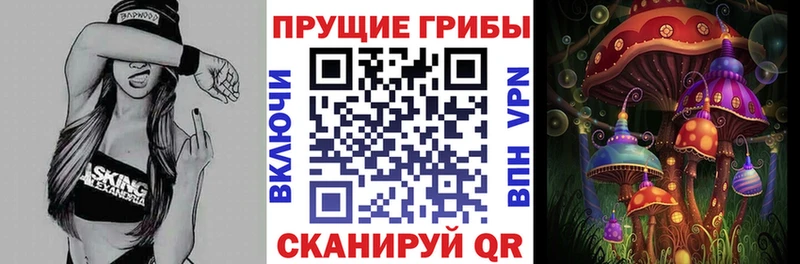 Галлюциногенные грибы ЛСД  наркотики  Курск 